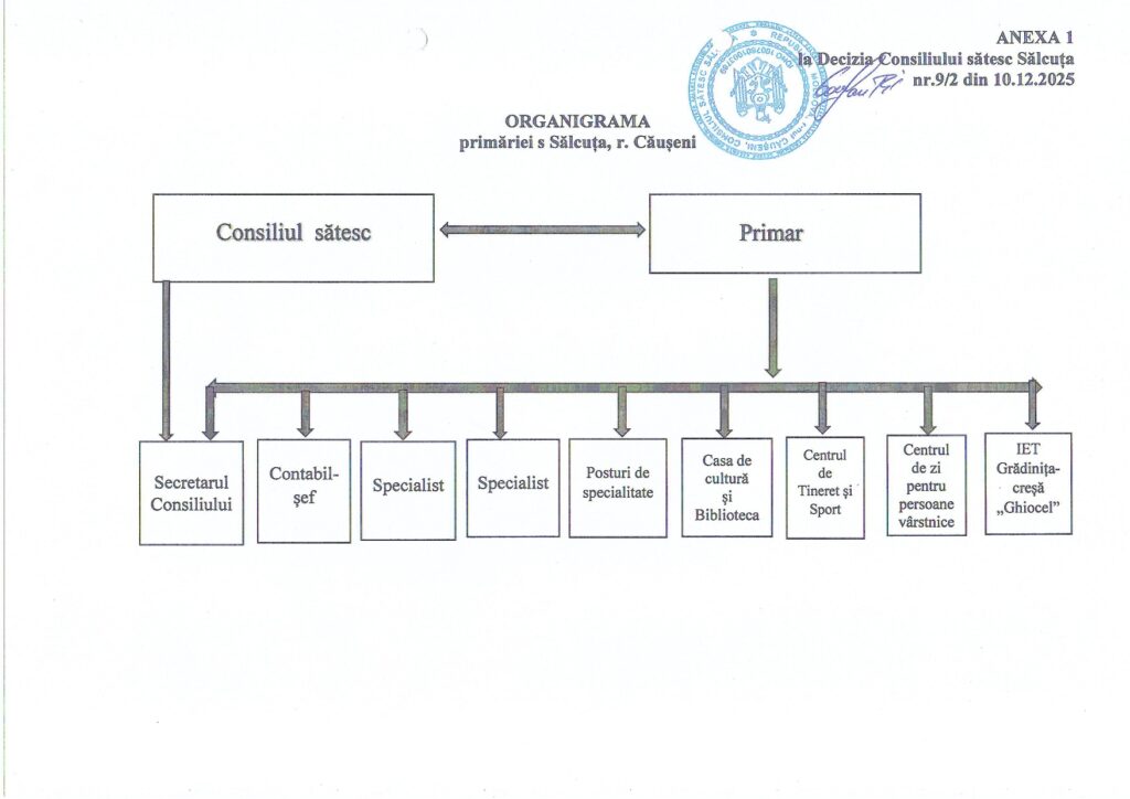 organigrama